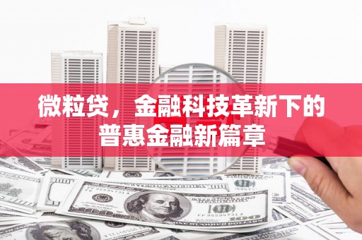 汝南微粒贷，金融科技革新下的普惠金融新篇章