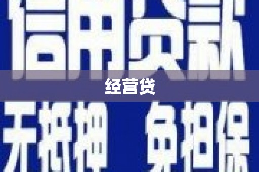 杨浦经营贷