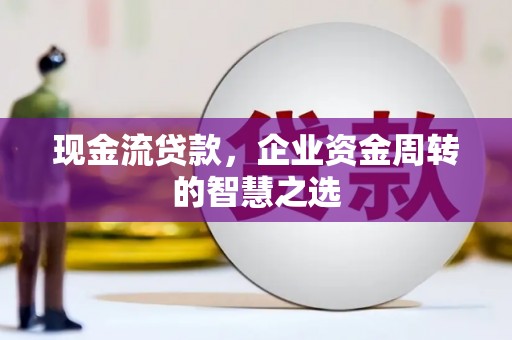镇巴现金流贷款，企业资金周转的智慧之选