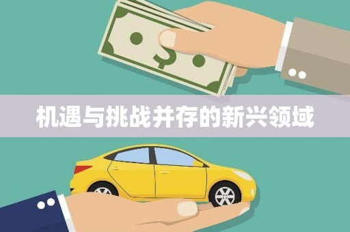 三明机遇与挑战并存的新兴领域