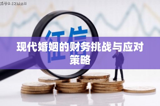 龙沙现代婚姻的财务挑战与应对策略
