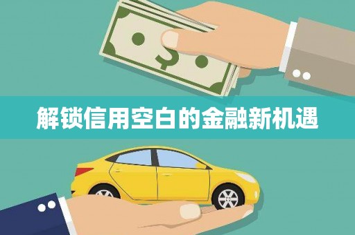 永善解锁信用空白的金融新机遇