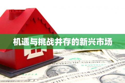 丰顺机遇与挑战并存的新兴市场