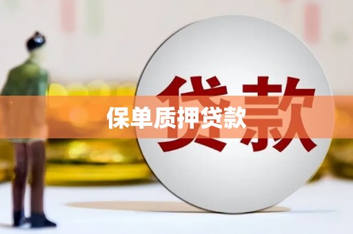 黑龙江保单质押贷款
