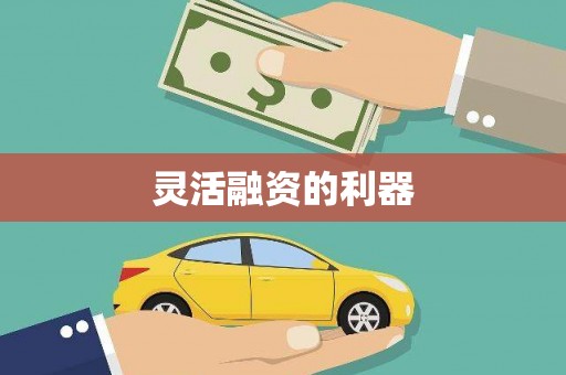 错那灵活融资的利器