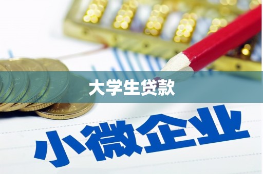 卑南大学生贷款