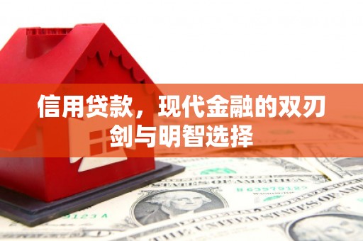 陆川信用贷款，现代金融的双刃剑与明智选择